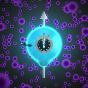 Model of eEDM 