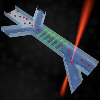 Microfluidics system used in the Jimenez lab.