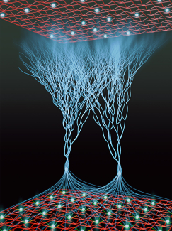 Atoms in an optical lattice perform a "quantum walk" where they experience many different quantum phenomena, such as superposition or tunneling. 