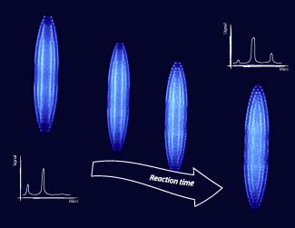 Coulomb crystal images over the course of an ion-molecule reaction